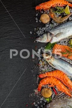 Many kind of seafood, served on crushed ice Stock Photos