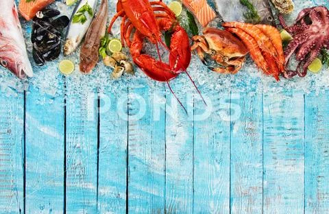 Many kind of seafood, served on crushed ice Stock Photos