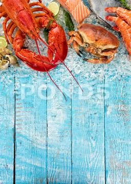 Many kind of seafood, served on crushed ice Stock Photos