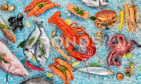 Many kind of seafood, served on crushed ice Stock Photos