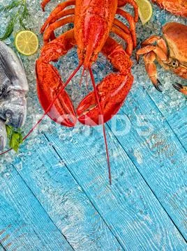 Many kind of seafood, served on crushed ice Stock Photos