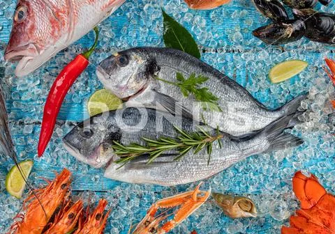 Many kind of seafood, served on crushed ice Stock Photos