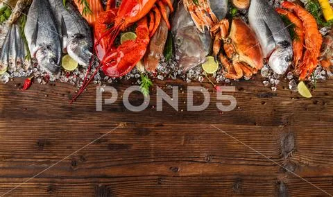 Many kind of seafood, served on crushed ice Stock Photos
