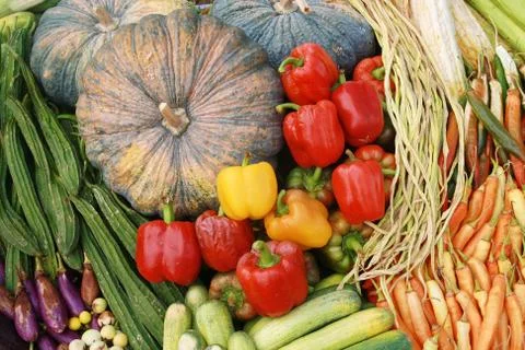 Many kinds of vegetables Foto stock