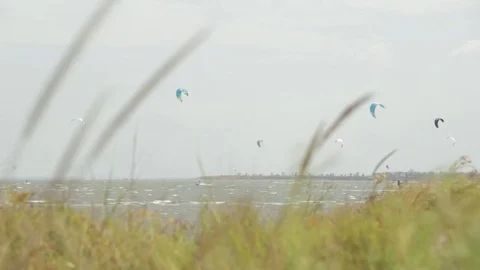Many Kitesurfers. Athletes doing kite surf on limans. Grass Stock Footage