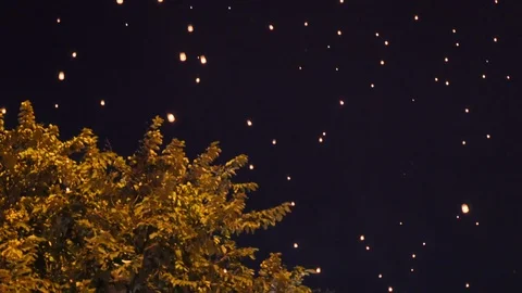 Many lantern in chiang mai Stock Footage 100359291