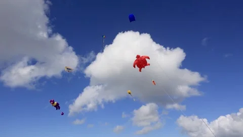 Many large professional inflatable kites in blue sky flown by kite club members Stock Footage 274488703