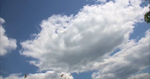 Many large white fluffy clouds in the blue sky in a time-lapse video in spring Stock Footage 275351438