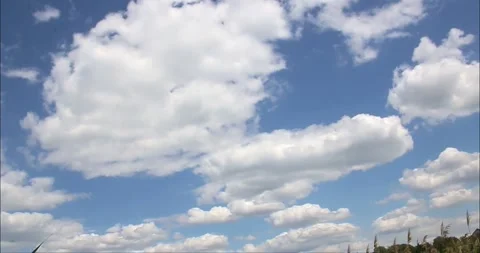 Many large white fluffy clouds in the blue sky in a time lapse video Stock Footage 275351817