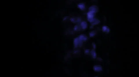 Many Light Effect Transition Variations Stock Footage 34506374