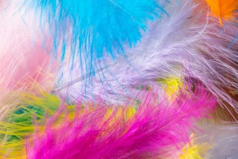 Many light multi-colored feathers for a carnival costume. Background for desi Stock Photos