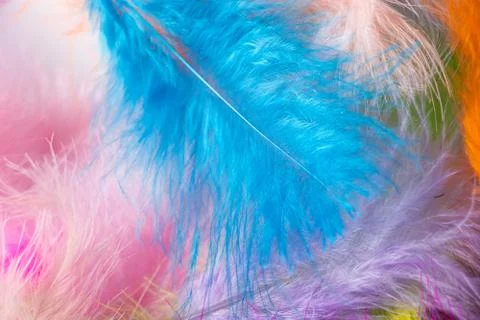 Many light multi-colored feathers for a carnival costume. Stock Photos