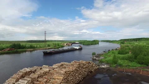 Many logs lie on top of each other Stock Footage 145661089