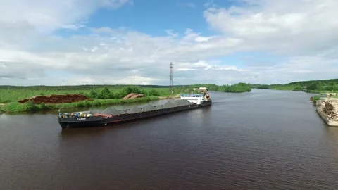 Many logs lie on top of each other on the riverbank Stock Footage 145661094