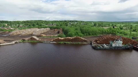 Many logs lie on top of each other on the riverbank Stock Footage 145661318