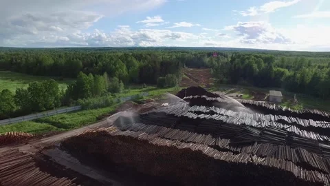 Many logs lie on top of each other Stock Footage 145671400