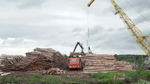 Many logs lie on top of each other Stock Footage 145671402