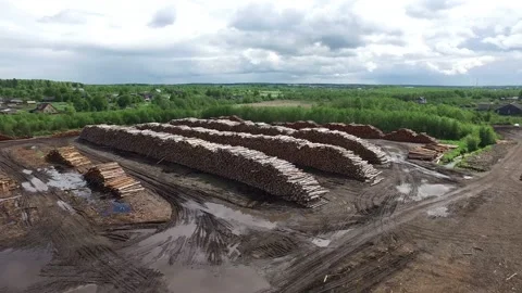 Many logs lie on top of each other Stock Footage 145671412