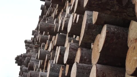 Many logs lie on top of each other Stock Footage 145671446