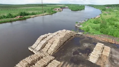 Many logs lie on top of each other Stock Footage 145671447