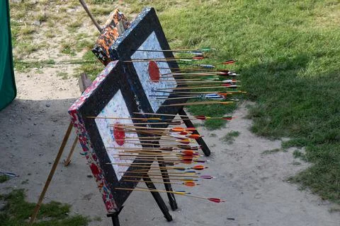 Many medieval arrows hit the target Stock Photos