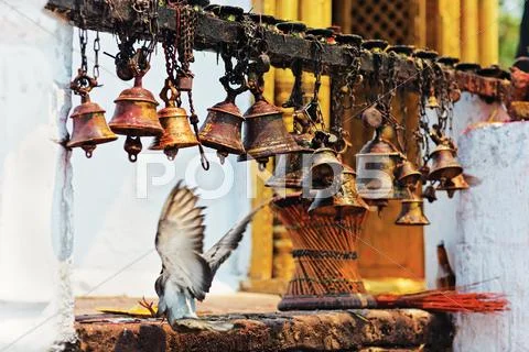 Many metal sacrificial bells hanging on chain and landing dove, pokhara, nepa Stock Photos