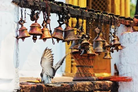 Many metal sacrificial bells hanging on chain and landing dove, pokhara, nepa Stock Photos
