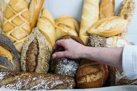 Many mixed breads and rolls. Stock Photos