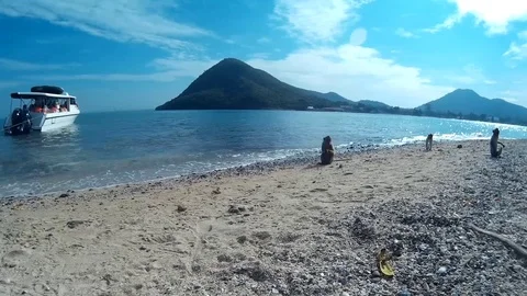 Many monkeys on the seashore Video stock 86470048