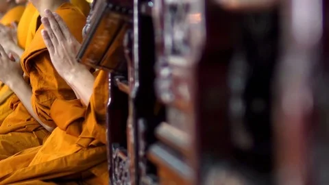 Many monks are sitting side by side and chanting Stock Footage 84293882