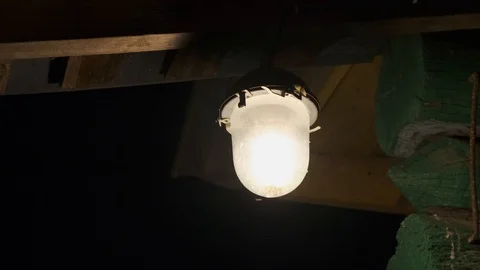 Many moths fly into the light at night. Close up. Stock Footage 122389205