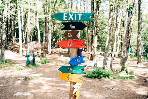 Many multi-colored arrow pointers hang on a pillar in a green forest Foto stock