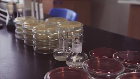Many multi-colored glass flasks and test tubes Stock Footage 75748776