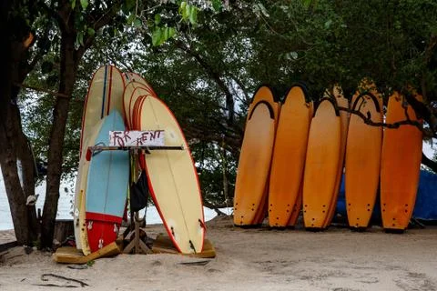 Many multi-colored surfboards in a row for rent. Stock Photos
