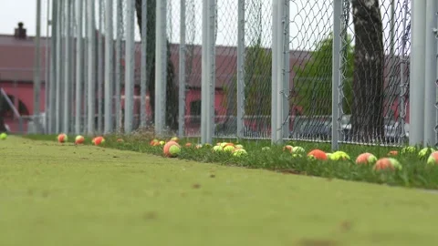 Many multi-colored tennis balls lie on the tennis court on the grass. Tennis Video stock 309920614