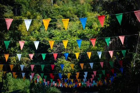 Many multicolored triangular flags adorn the blurred garden. Foto stock