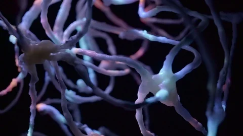 Many neurons communicating Stock Footage 104189341