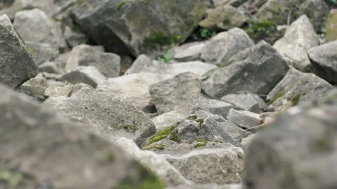 Many old stones covered with moss close-up. Old stones. Rock Stock Footage 266071038