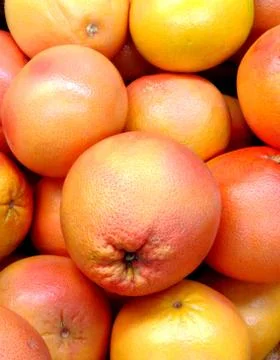 Many orange grapefruits Stock Photos