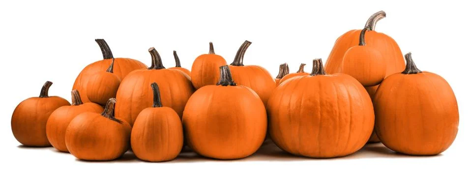 Many orange pumpkins Stock Photos