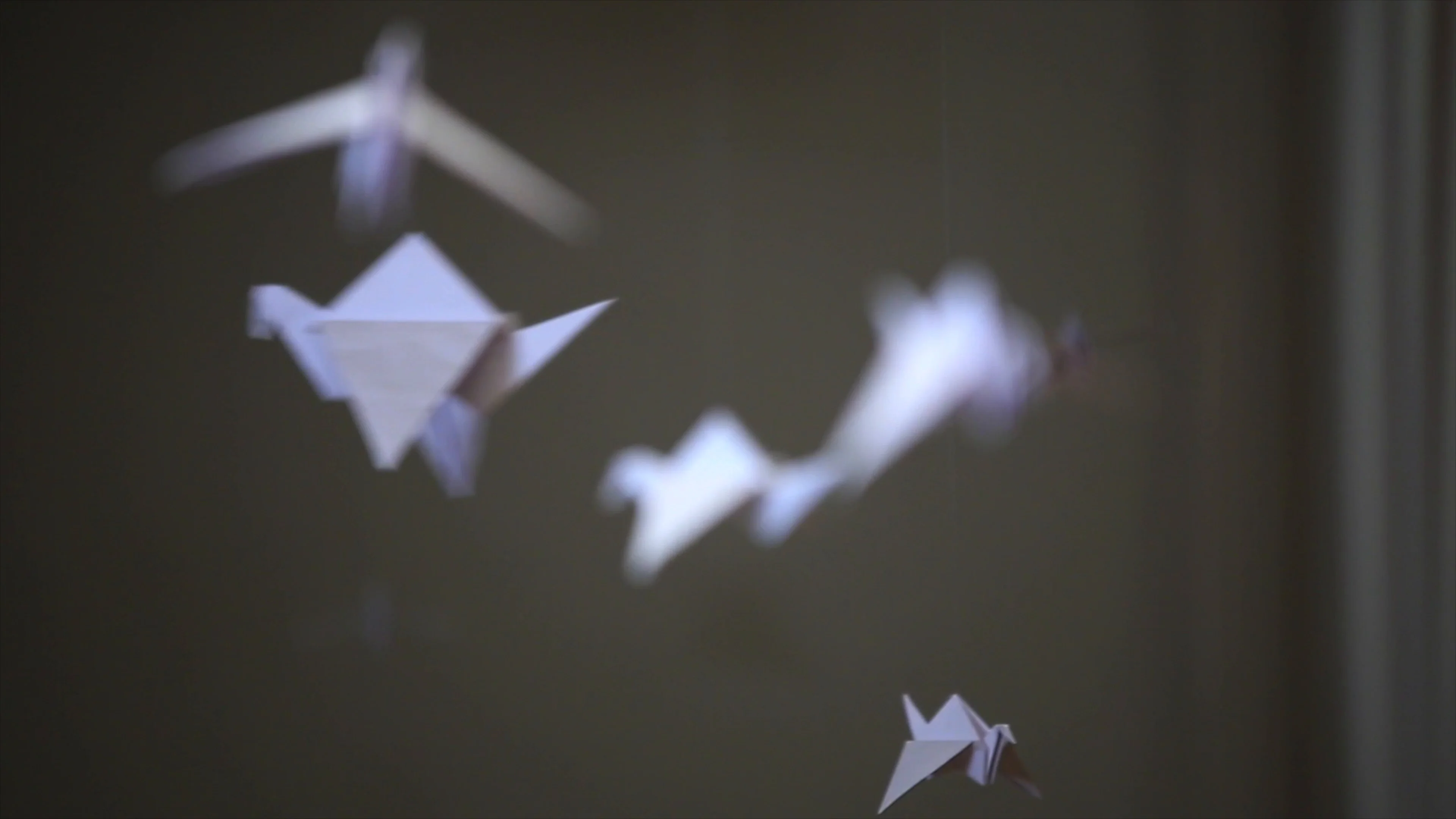 many of origami bird hanging in a row