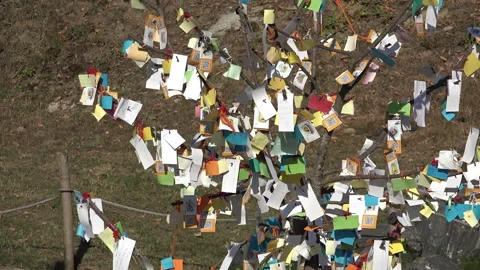 Many paper notes hanging in a tree and waving in the wind Video stock 318178666
