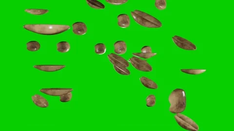 Many peanut falling down on chromakey background. Nuts. Green screen. Stock Footage 171459743