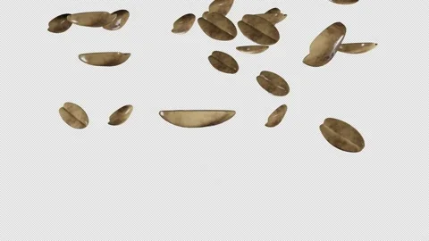 Many peanut falling down on transparent background. Nuts. Alpha channel. Stock Footage 171464718