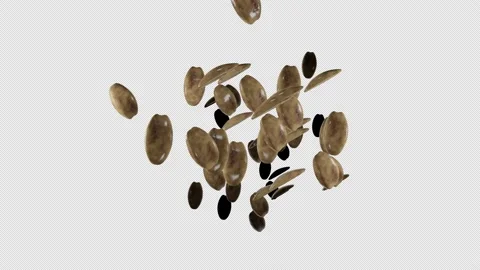 Many peanut falling down on transparent background. Nuts. Alpha channel. Stock Footage 171466372