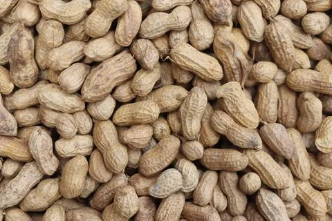 Many Peanuts Full Textured Surface Closeup View, Dry Roasted Groundnuts Stock Photos