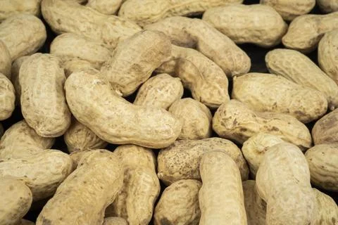 A Many peanuts in shells. Ground nuts Fotos Stock