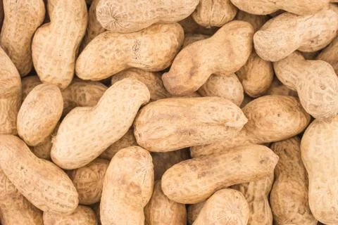 Many peanuts in shells, one upon the other Stock Photos