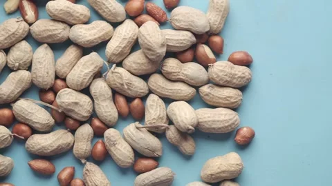 Many peanuts in shells scattered on blue background top view close up motion. Stock Footage 332471327