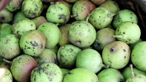 Many pears lie in the basket, background. The concept of a tasty and healthy Stock Footage 140632605